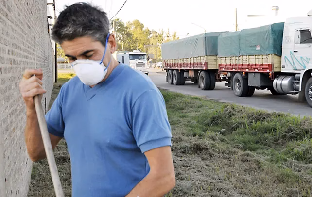 ¿Cuál es el ecosistema de San Lorenzo?