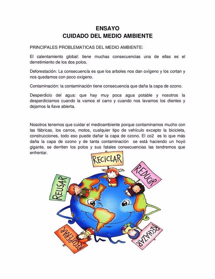 ¿Qué es un ensayo sobre el medio ambiente?