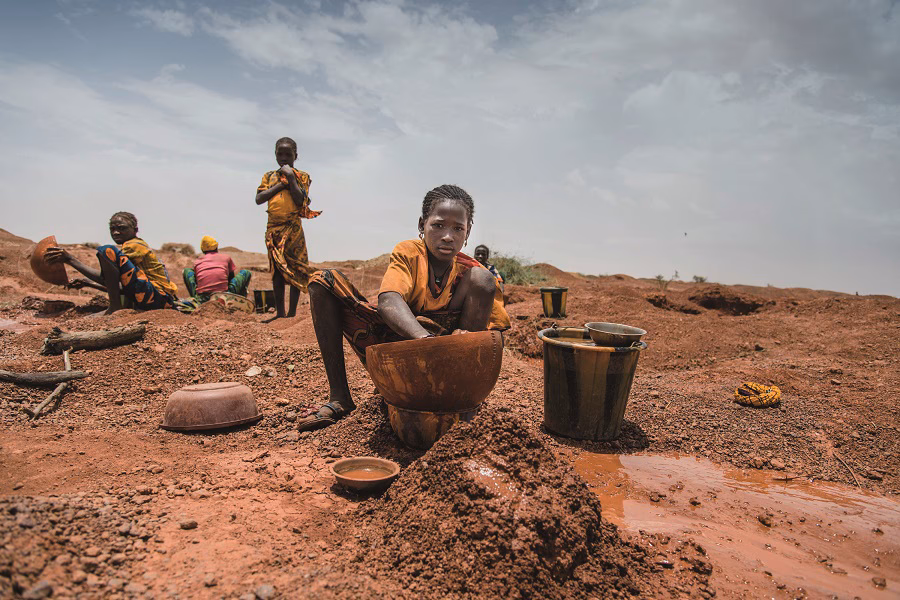 ¿Cuál es la problemática de la explotación ambiental?