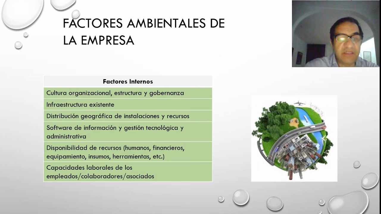 ¿Cuáles son los elementos del medio ambiente interno?