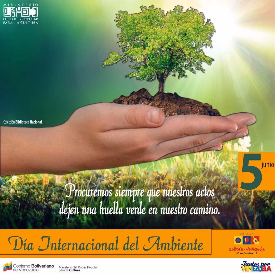 ¿Por qué se celebra el Día Mundial del Medio Ambiente?