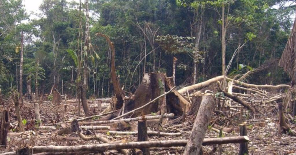 ¿Qué es la gobernanza ambiental?