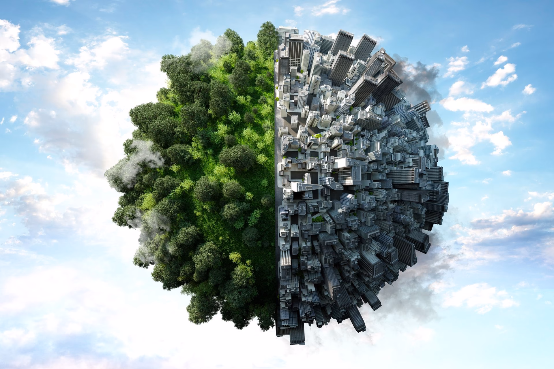 ¿Cómo afectan los árboles a la contaminación del aire?