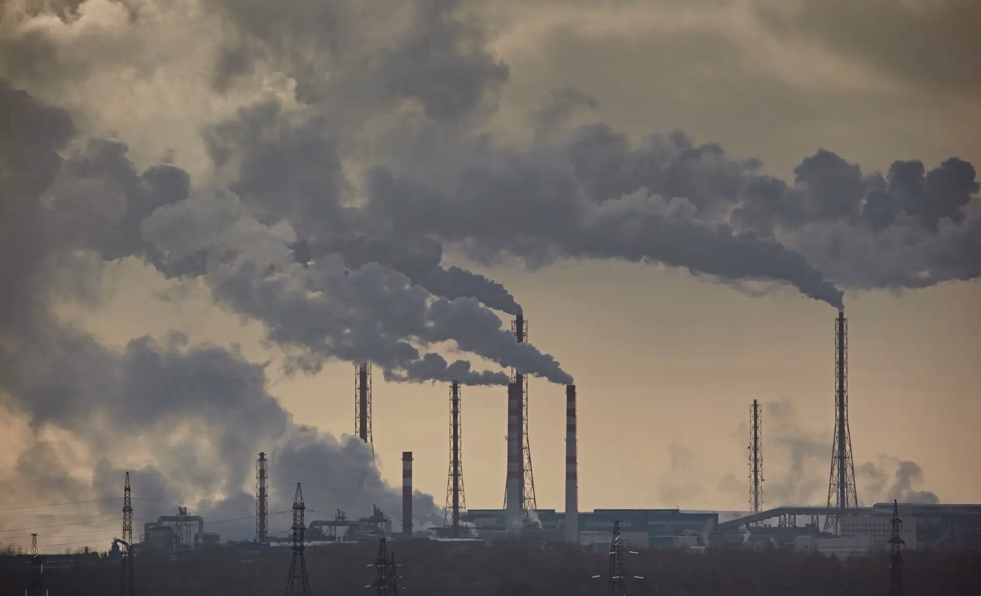 ¿Cómo minimizar los impactos ambientales?