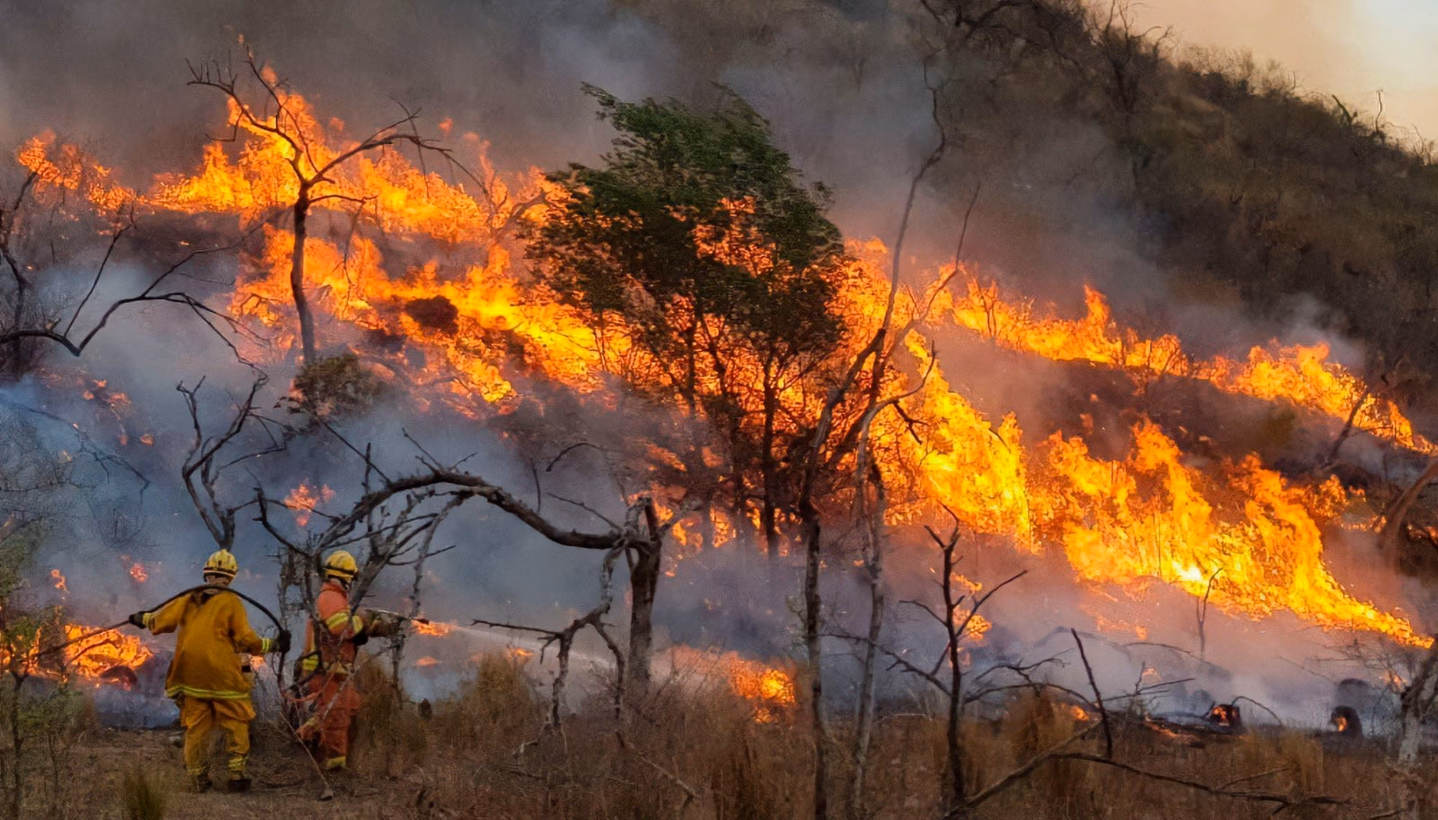 ¿Cuántas hectáreas están afectadas por el incendio en capilla del Monte?