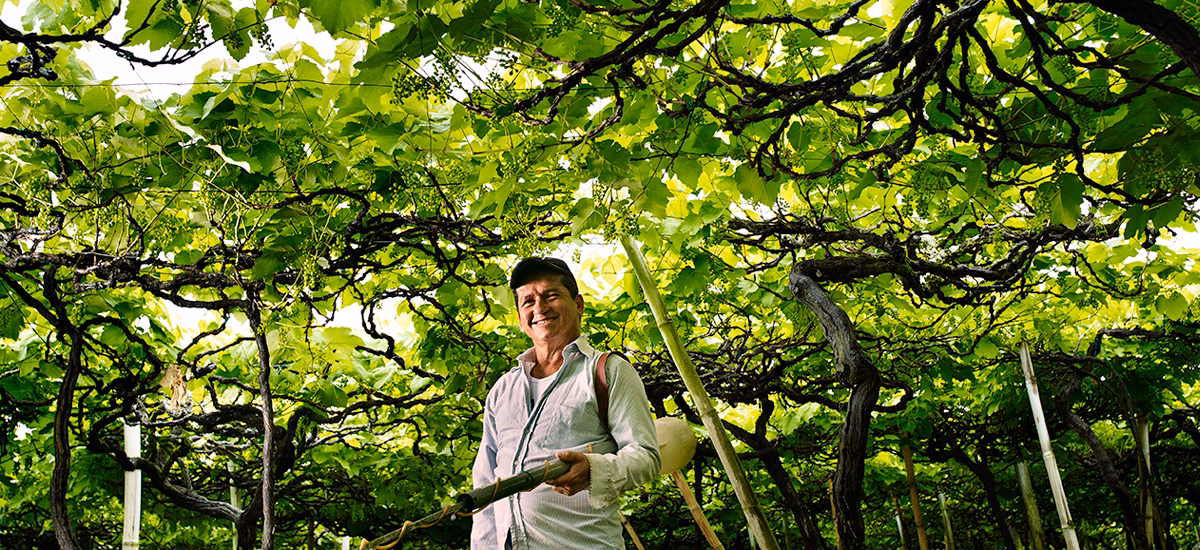 ¿Cuáles son los materiales e insumos que contribuyen a un alto impacto ambiental?