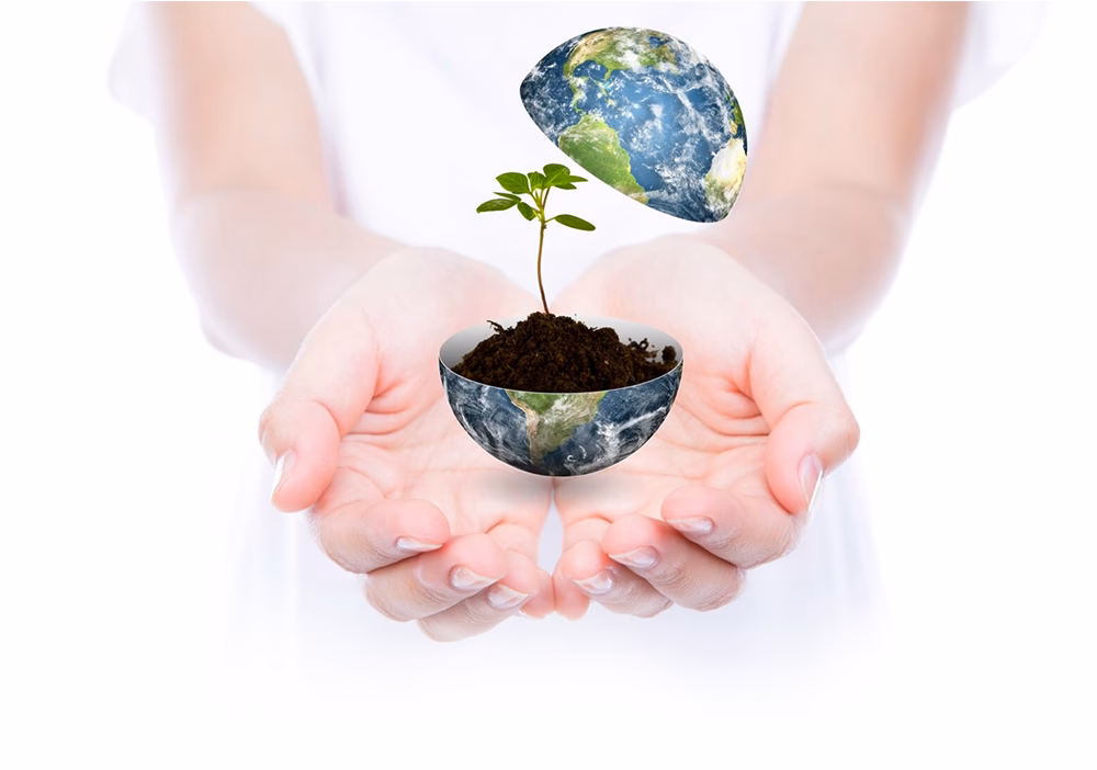 ¿Cómo cuidar el medio ambiente en Nueva León?