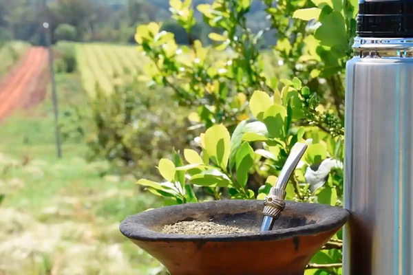 ¿Cómo comprometerse con el medio ambiente?
