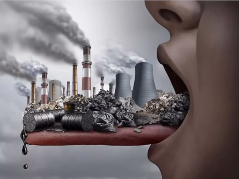 ¿Qué es la materia particulada y ejemplos?