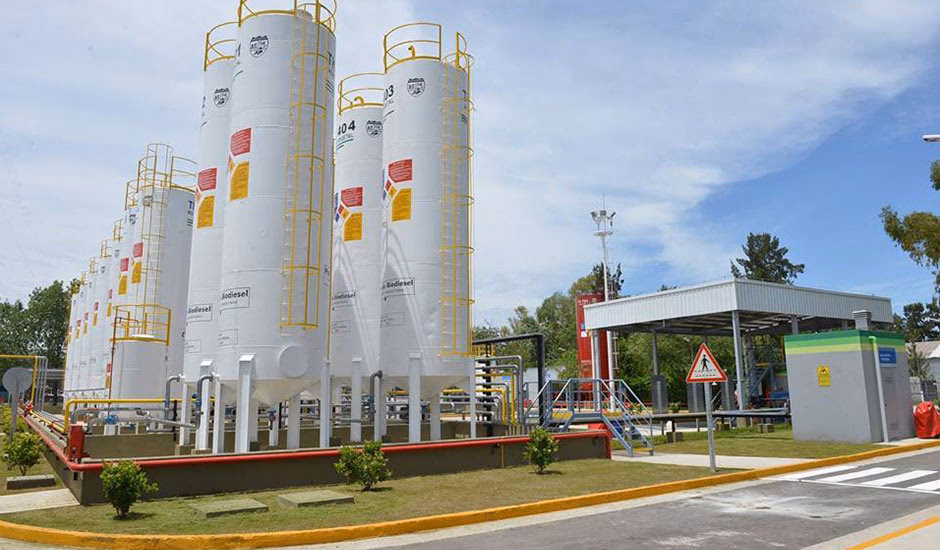 ¿Por qué es ilegal trabajar en la Municipalidad de Malvinas?