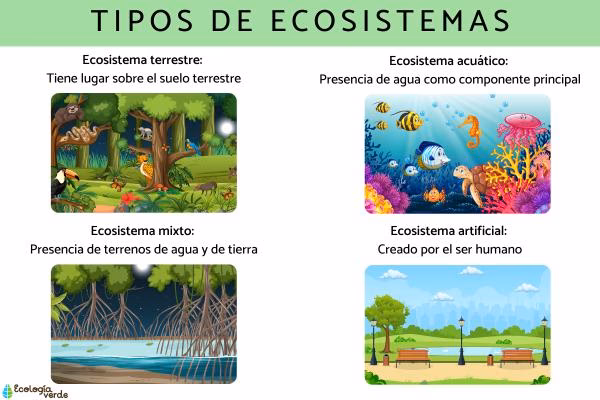 ¿Qué es el medio ambiente?