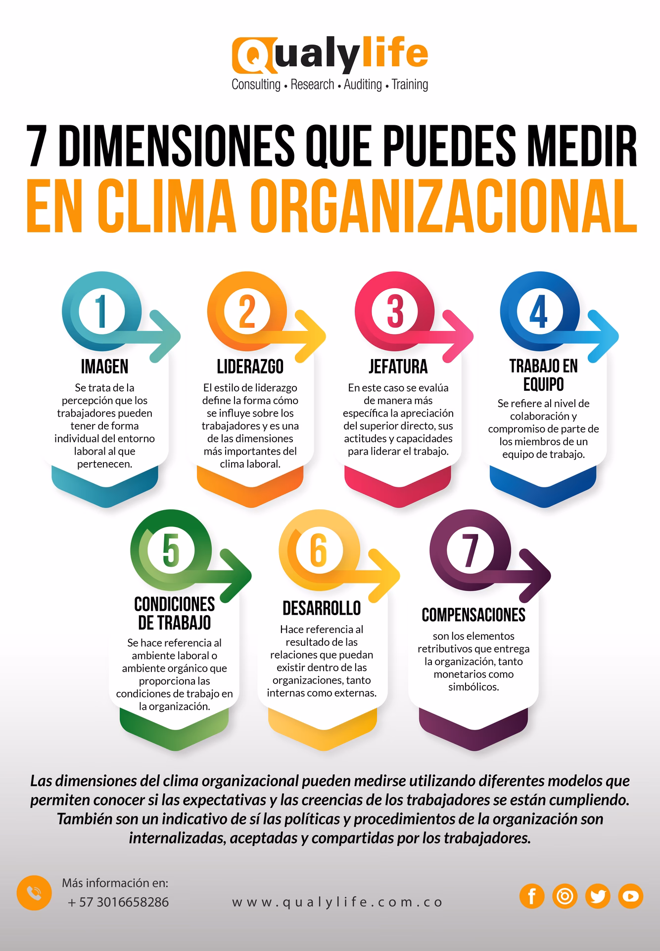 ¿Cómo afecta el ambiente a las organizaciones?