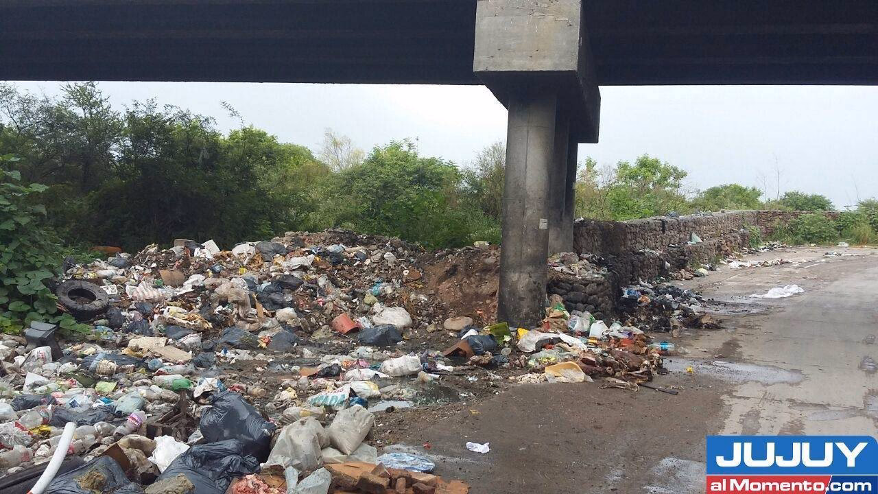 ¿Cómo se realiza la gestión ambiental de Palos?