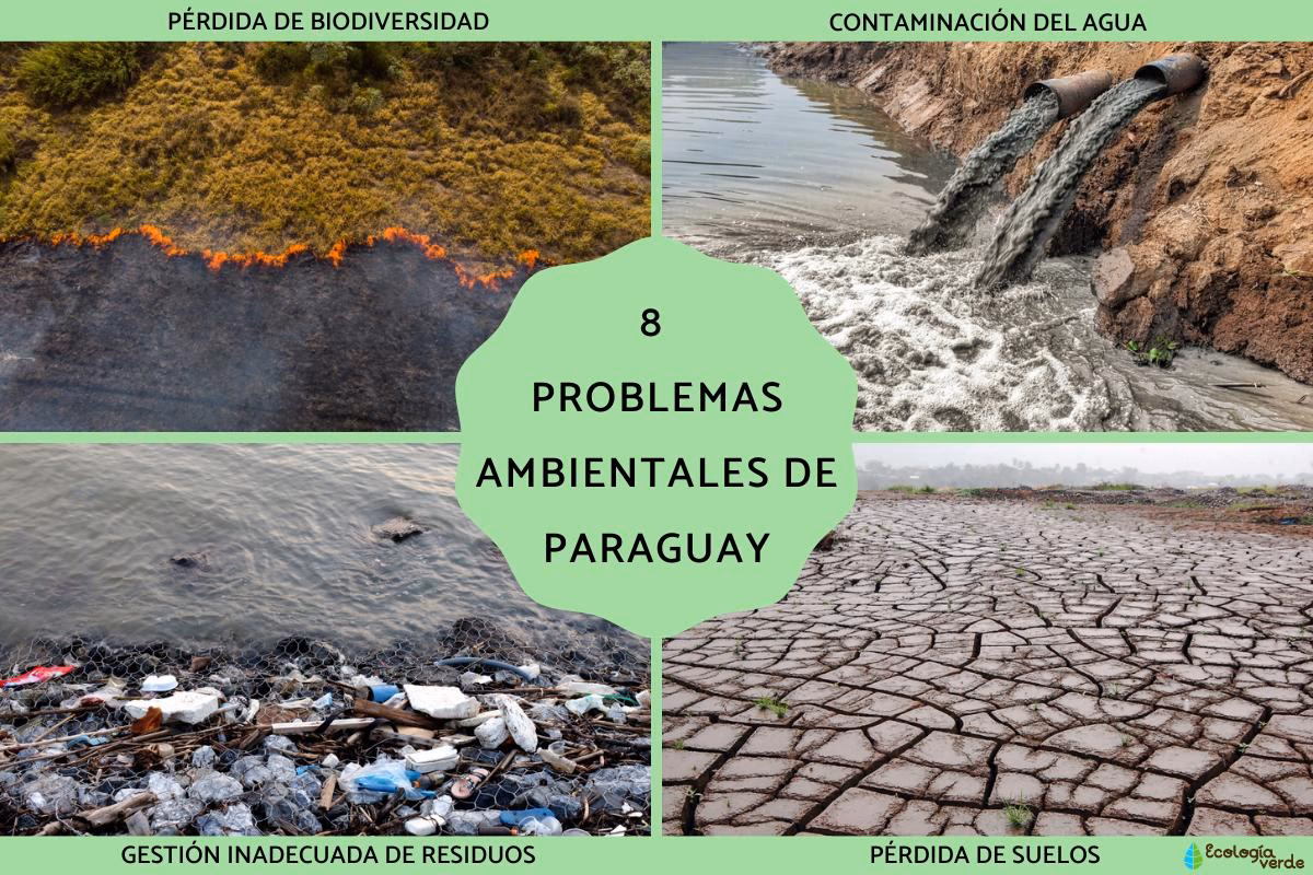 ¿Cómo afecta la contaminación en Paraguay?
