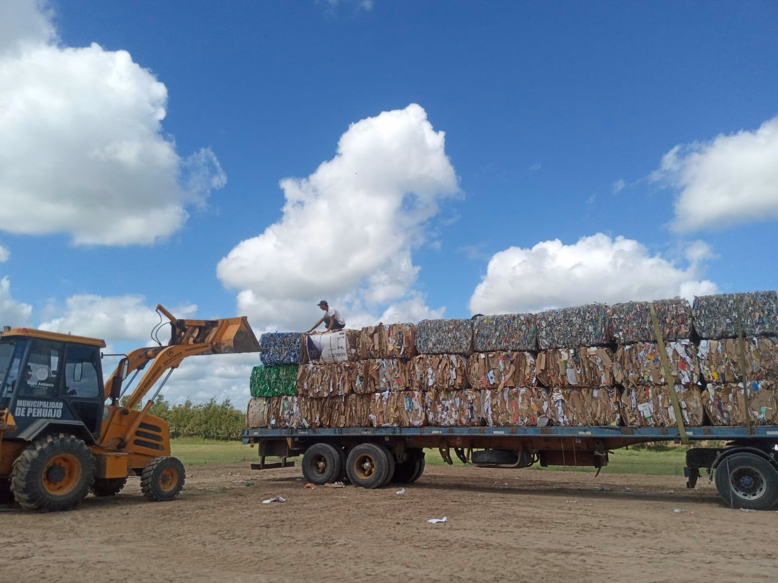 ¿Cuál es el Medio Ambiente del predio de Chihuahua?