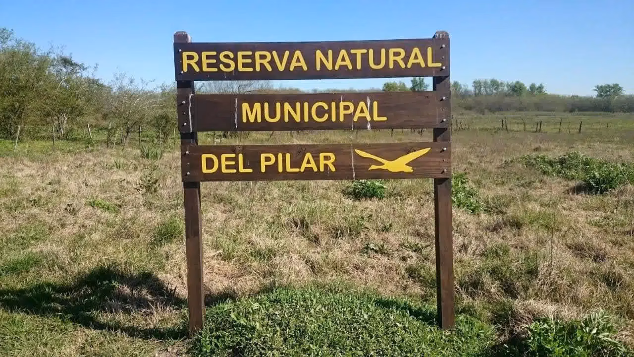 ¿Qué es el pilar de acceso a la información medioambiental?