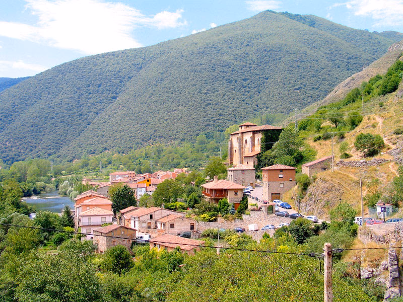 ¿Por qué es importante promover la educación ambiental en las comunidades rurales?