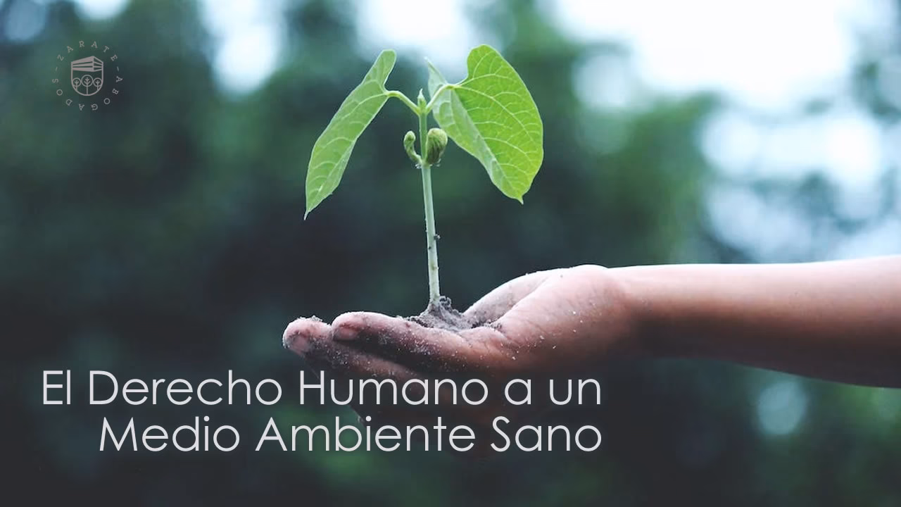 ¿Cuál es la base del derecho ambiental en Argentina?