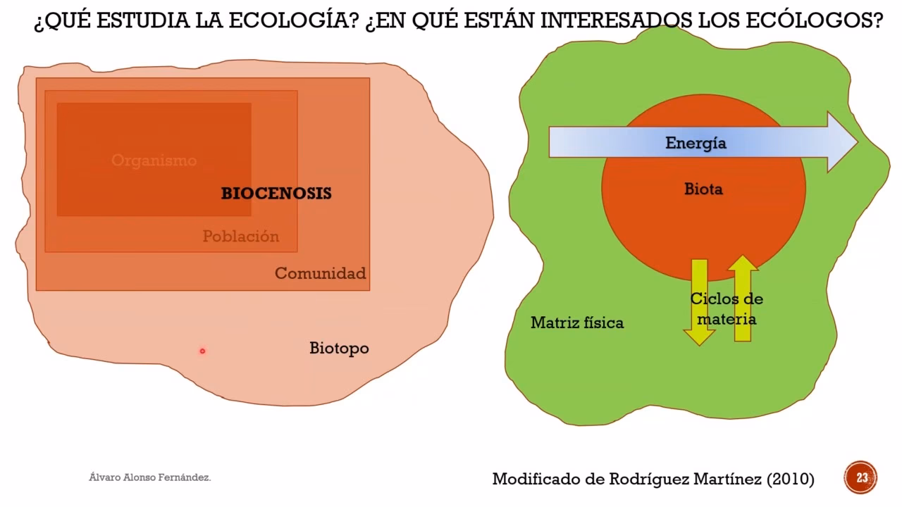 ¿Qué es el reduccionismo en ciencia?