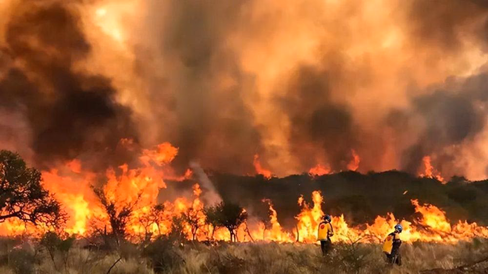 ¿Cuáles son las consecuencias de los incendios?