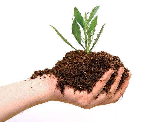 ¿Qué es el medio ambiente?