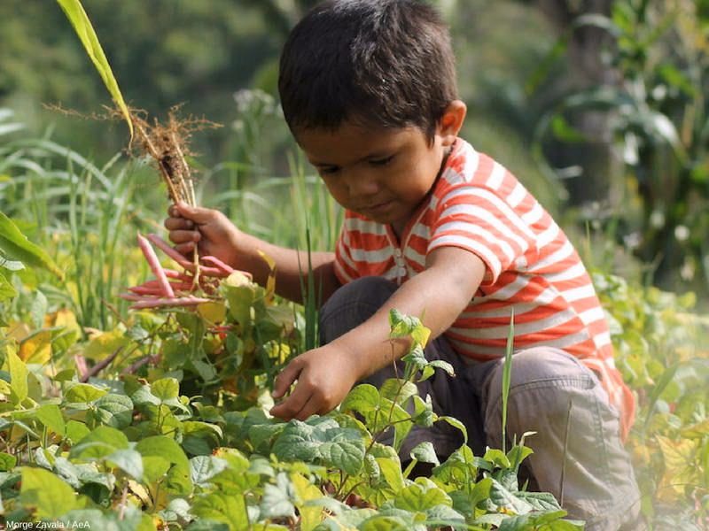 ¿Cómo influye el ambiente social en el desarrollo de los niños?
