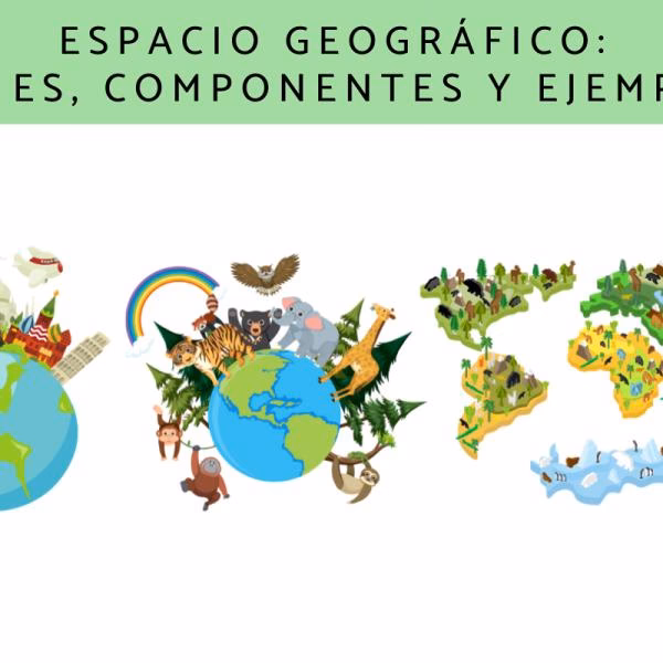 ¿Cuáles son los factores sociales de la protección del Medio Ambiente?