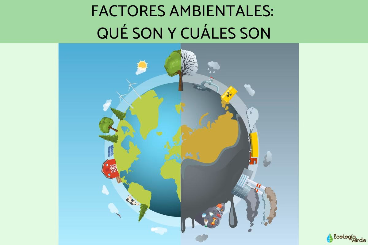 ¿Cuáles son los factores sociales de la protección del Medio Ambiente?