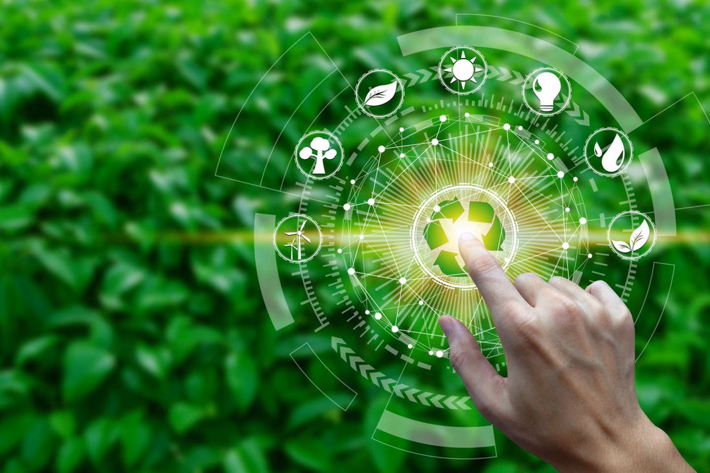 ¿Cuál es la tendencia alcista hacia el medio ambiente?