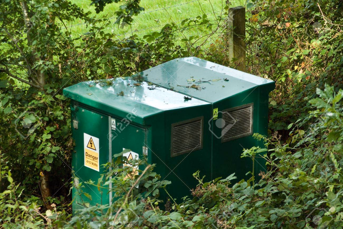 ¿Cuál es el papel de los transformadores ecológicos en la preservación del Medio Ambiente?