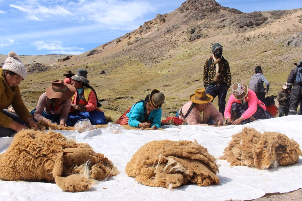 ¿Qué son las fibras sostenibles?
