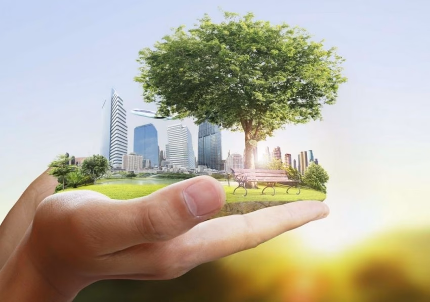 ¿Cuáles son los aspectos ambientales más comunes a considerar en una administración?