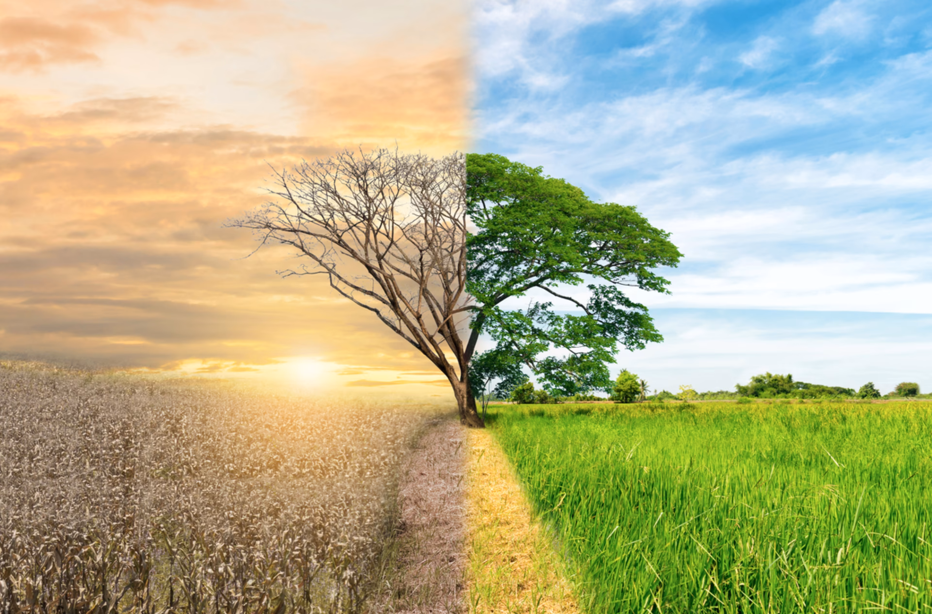 ¿Cuál es la importancia de los conflictos de clase y ambientales?