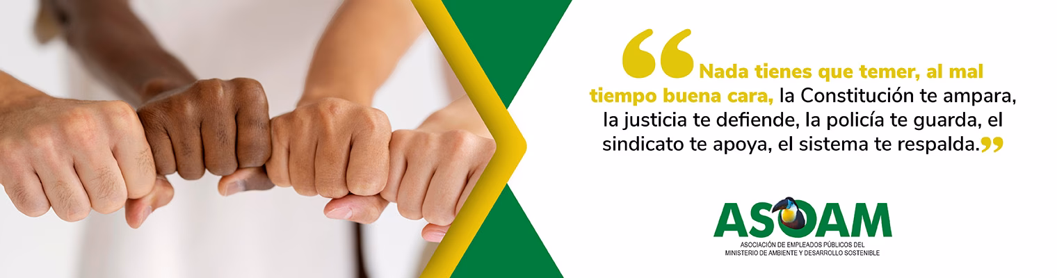 ¿Por qué es importante el sindicato en el ambiente laboral?