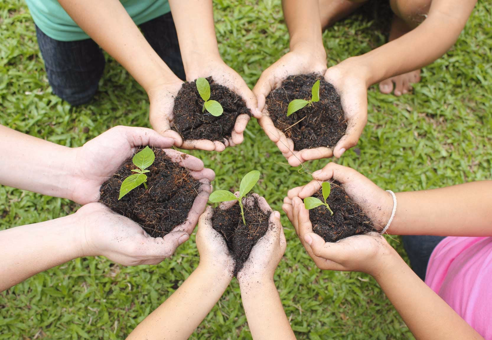 ¿Cuál es el impacto de la ecología social en la sociedad?