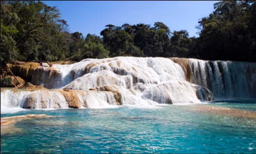 ¿Cuáles son los principales desafíos del Medio Ambiente en México?