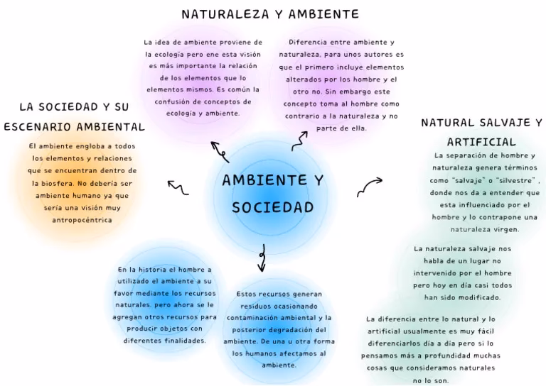 ¿Cómo afecta la economía al medio ambiente?