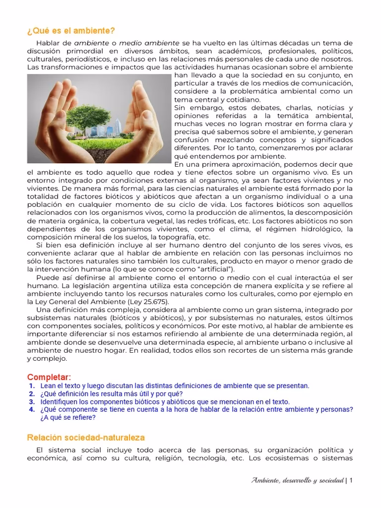 ¿Qué es un texto informativo sobre el medio ambiente con conectores?