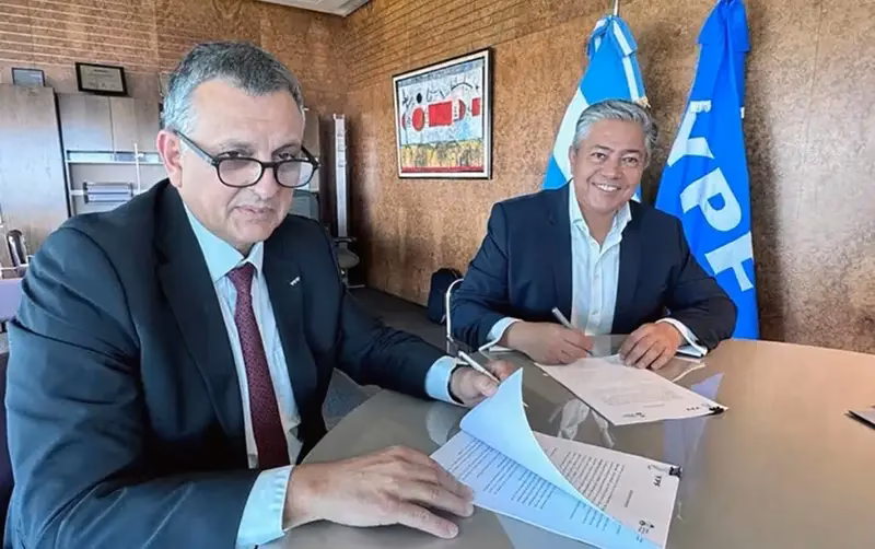 ¿Qué es el reglamento del directorio de YPF?