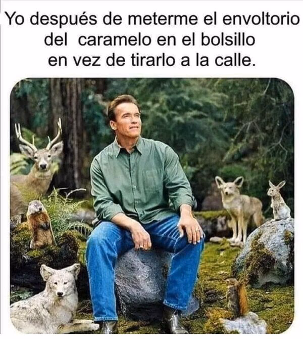 ¿Cómo aligerar el ambiente con memes?