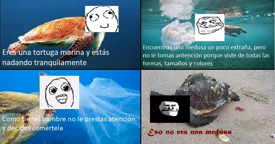 ¿Cómo afecta la contaminación del agua a los mexicanos?