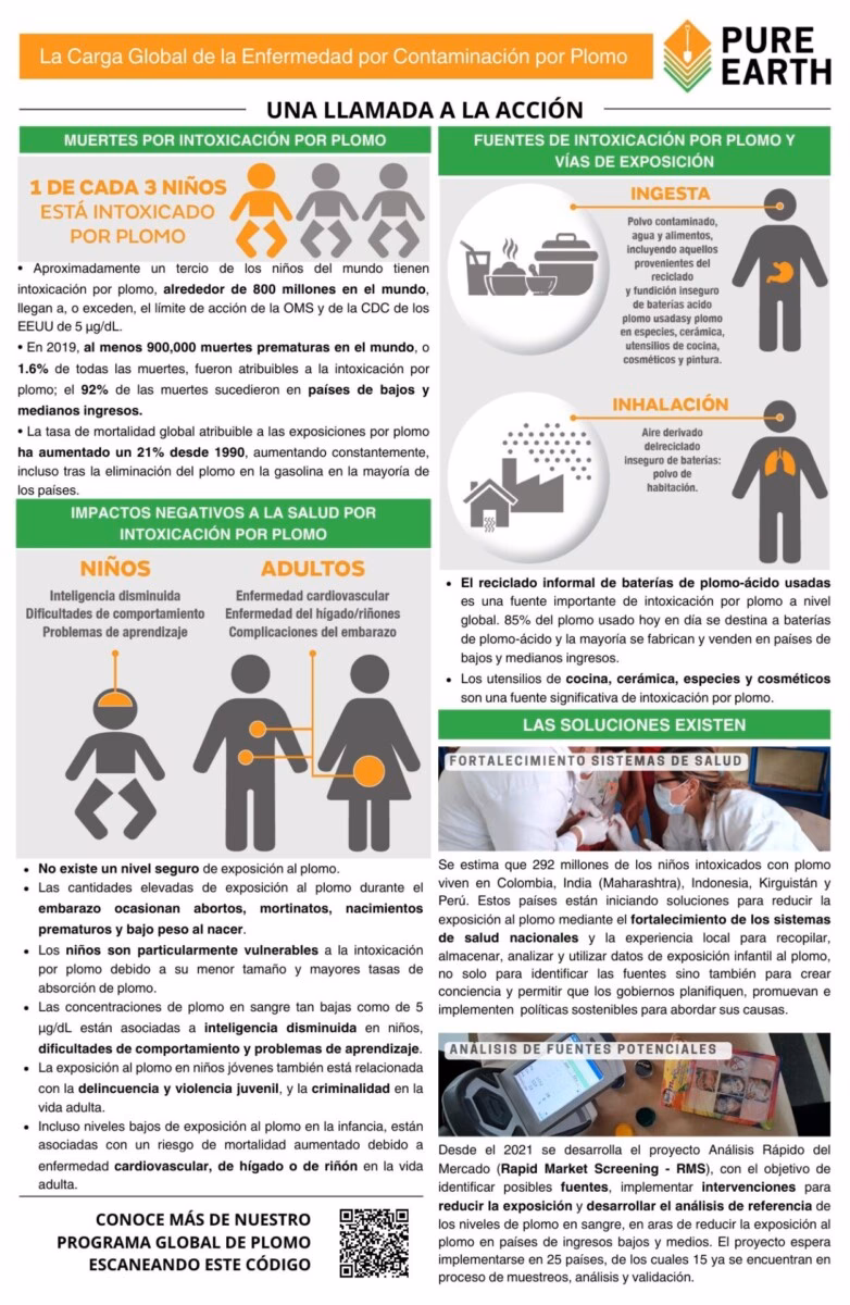 ¿Cuál es la carga de la enfermedad por contaminación de plomo?