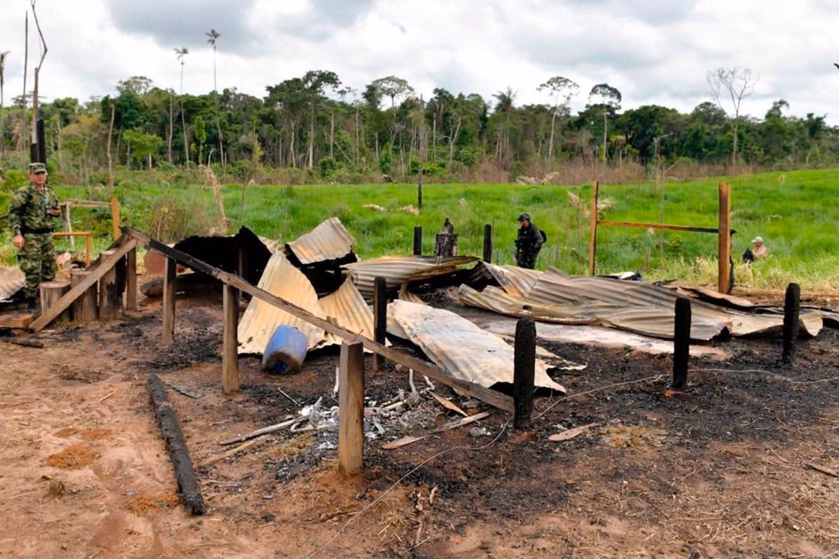 ¿Cómo medir la deforestación?