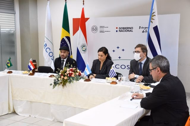 ¿Cuáles son los temas que se tratan en las reuniones de Ministros del Mercosur?