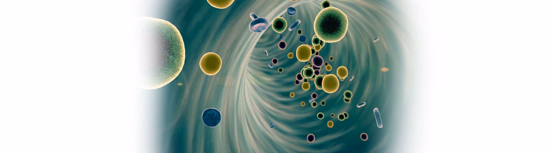 ¿Cuáles son los resultados posibles de la biotransformación?