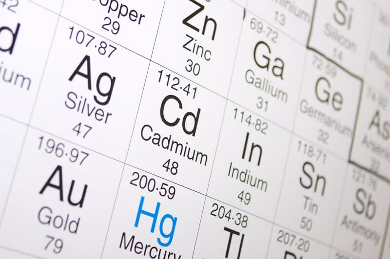 Are heavy metals in chicken meat dangerous?