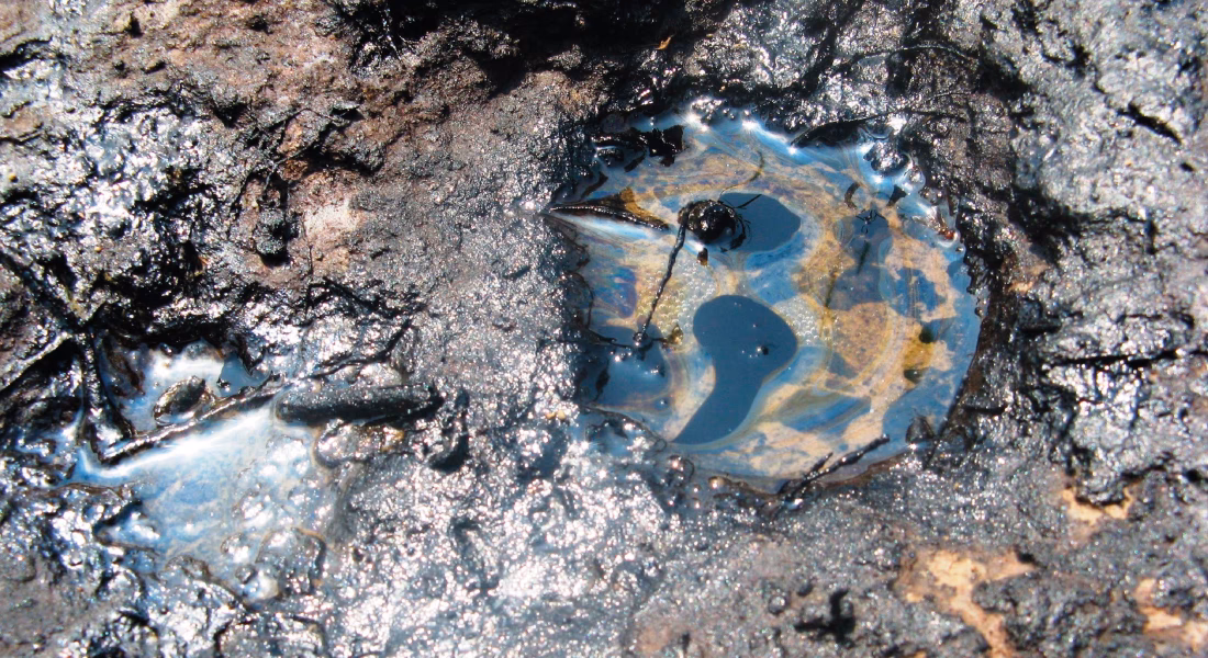 ¿Qué iones metálicos no se deben descargar?