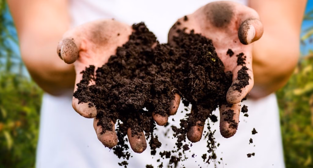 ¿Qué pruebas se hicieron para simular el proceso de compostaje?