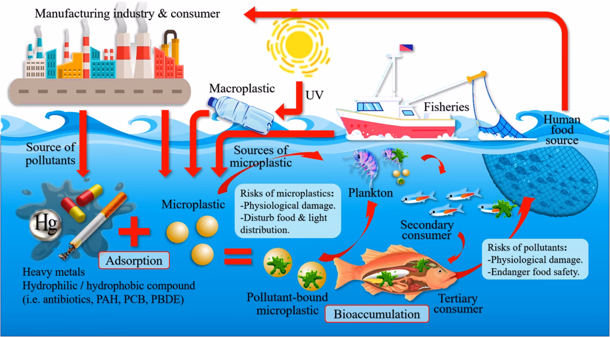 Are microplastics a pollution problem?