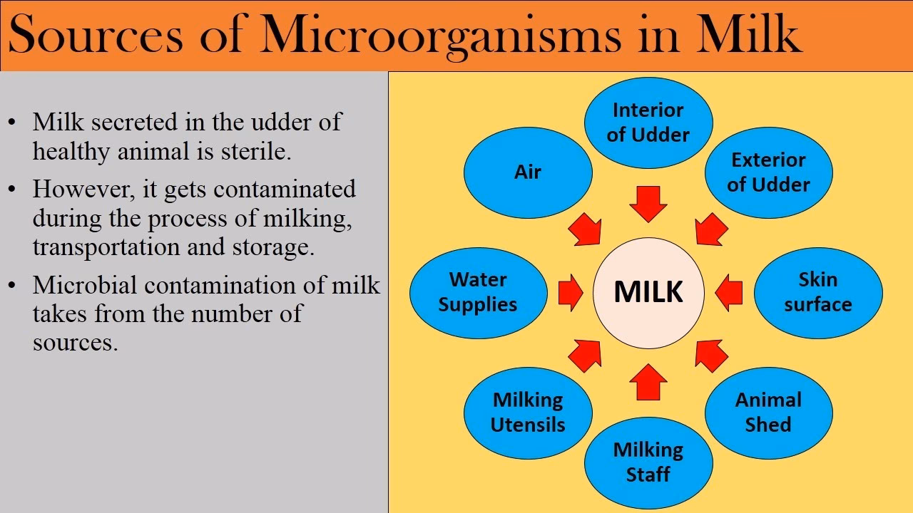 Are contaminant residues in milk a health risk?